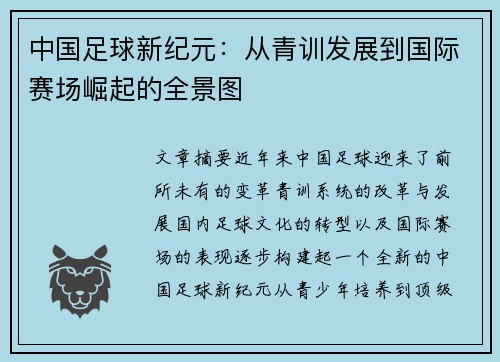 中国足球新纪元：从青训发展到国际赛场崛起的全景图