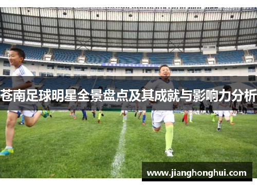 苍南足球明星全景盘点及其成就与影响力分析