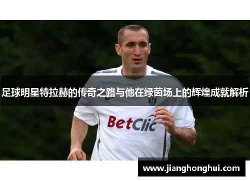 足球明星特拉赫的传奇之路与他在绿茵场上的辉煌成就解析